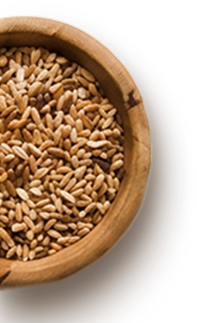 A wooden bowl filled with organic whole grains, showcasing a variety of light brown grains that are small and oval-shaped. The bowl is positioned on a dark surface, highlighting the natural texture of the grains.