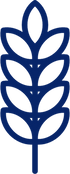 Blue stylized menorah symbol with branching candle arms and a central flame shape on a black background
