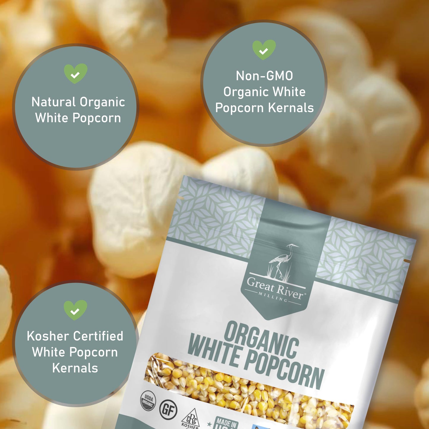 Light Slate Gray Organic White Popcorn Kernels