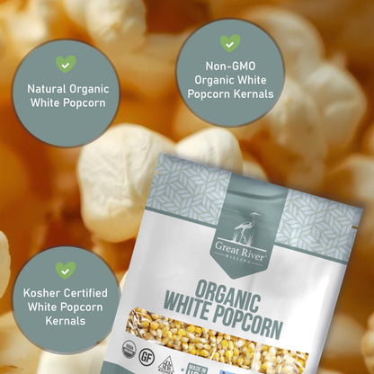 Light Slate Gray Organic White Popcorn Kernels