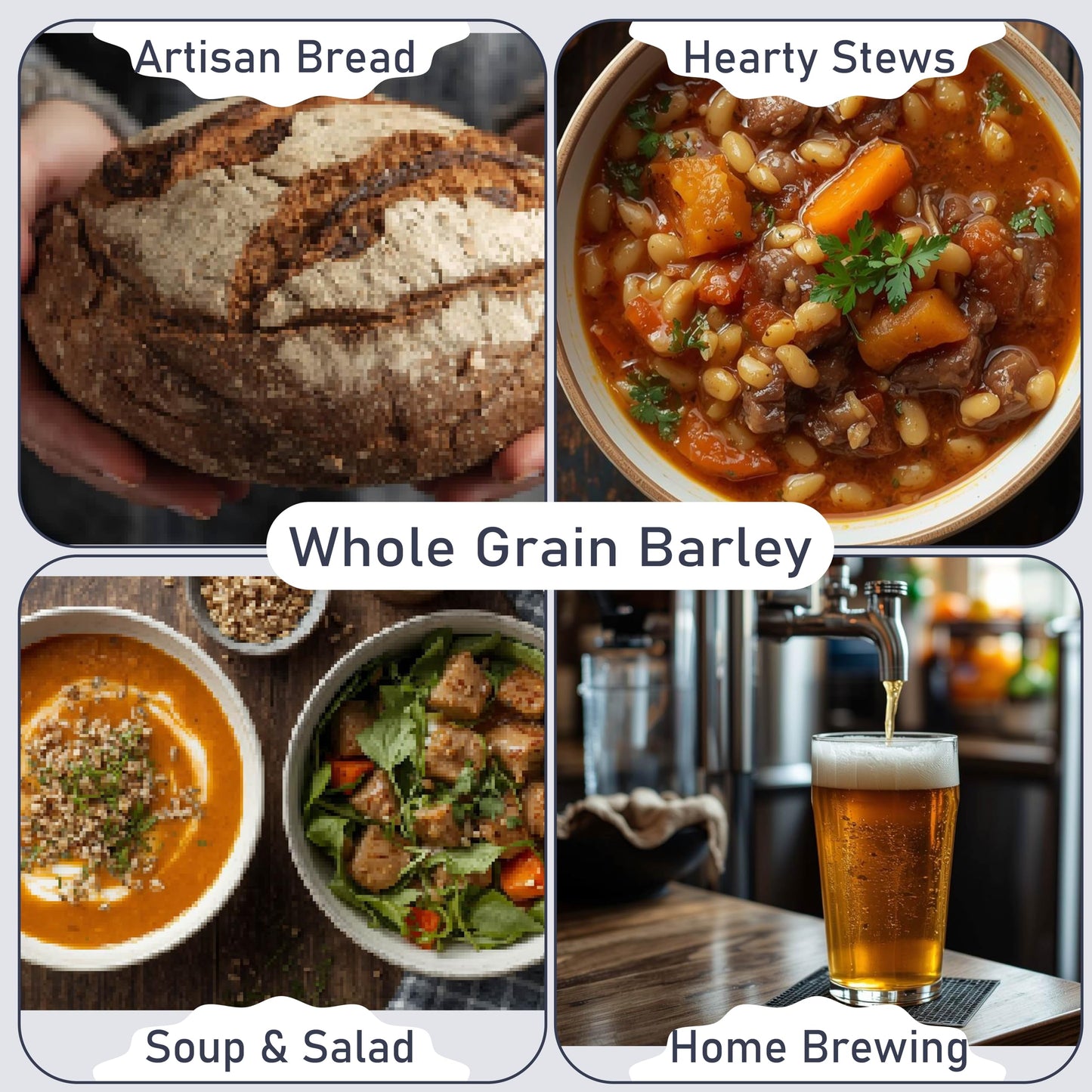 A collage featuring artisan bread, hearty stews, soup and salad, and home brewing, centered around the theme of whole grain barley. Each image showcases culinary uses of barley