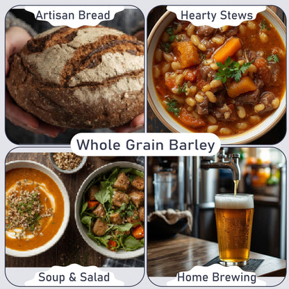 A collage featuring artisan bread, hearty stews, soup and salad, and home brewing, centered around the theme of whole grain barley. Each image showcases culinary uses of barley