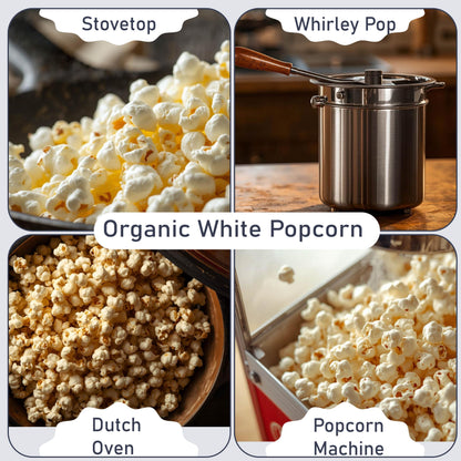 White Smoke Organic White Popcorn Kernels