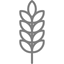 Wheat stalk icon