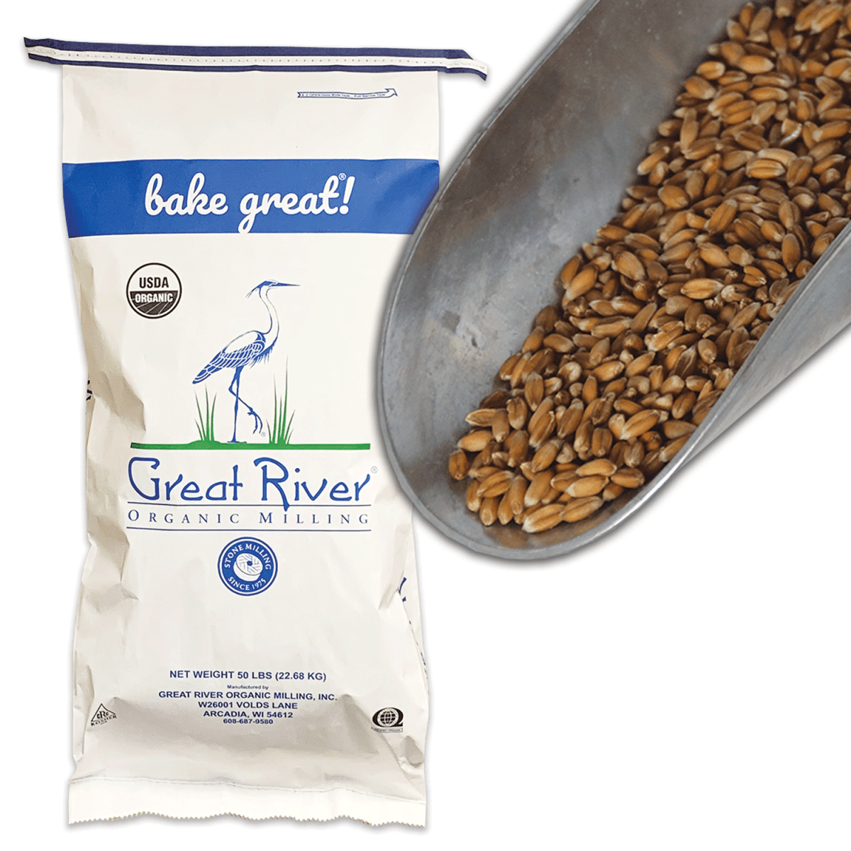 Organic Whole Grain Spelt